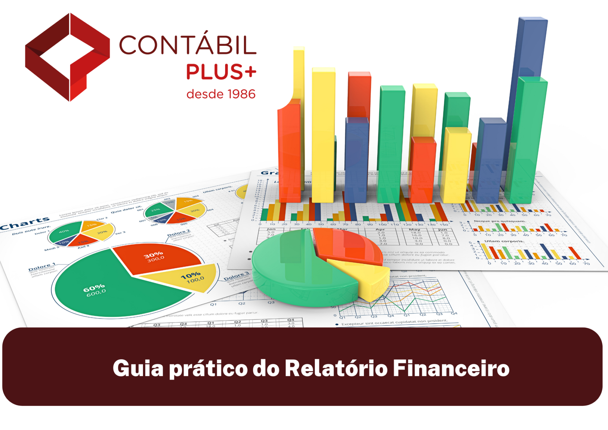 Guia prático do Relatório Financeiro