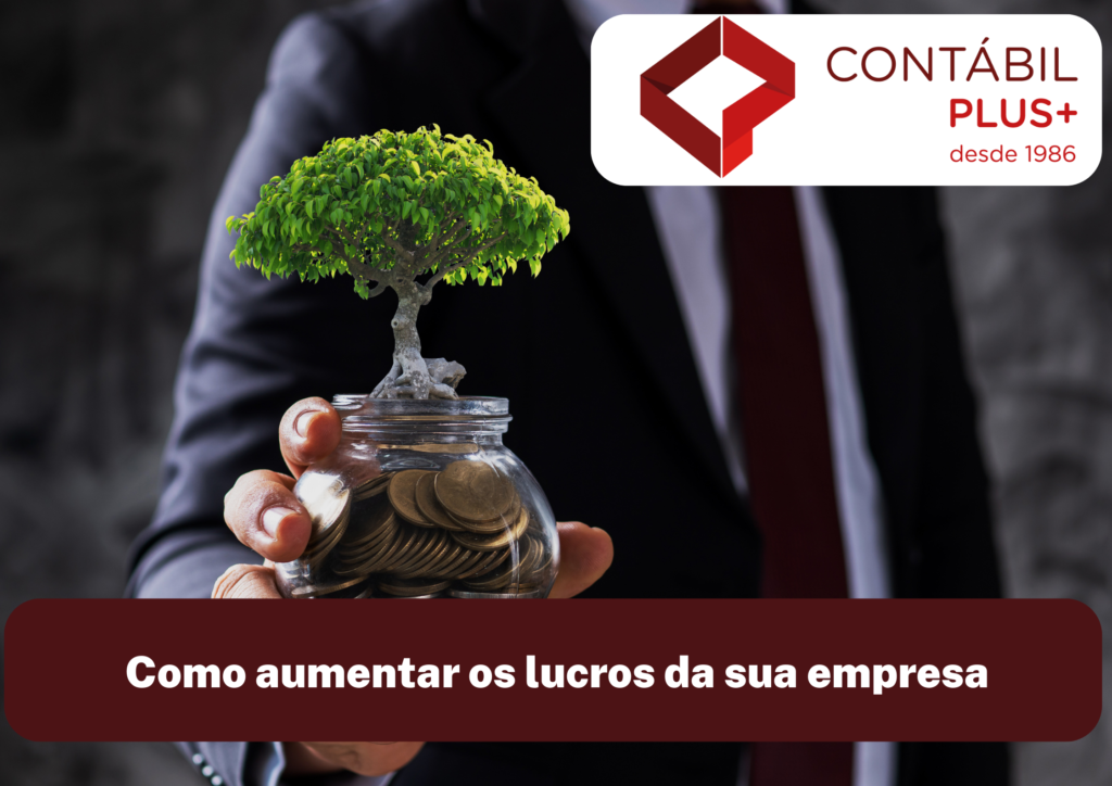 Como Aumentar Os Lucros Da Sua Empresa - Contábil Plus │ Escritório Contábil em Maceió - AL