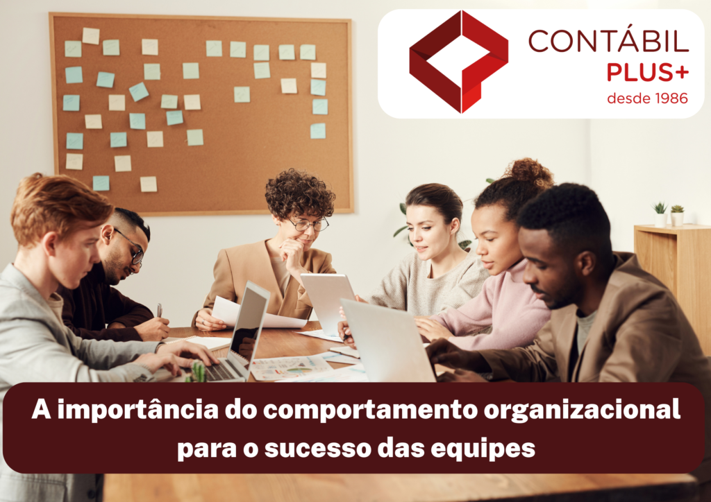 A Importância Do Comportamento Organizacional Para O Sucesso Das Equipes - Contábil Plus │ Escritório Contábil em Maceió - AL