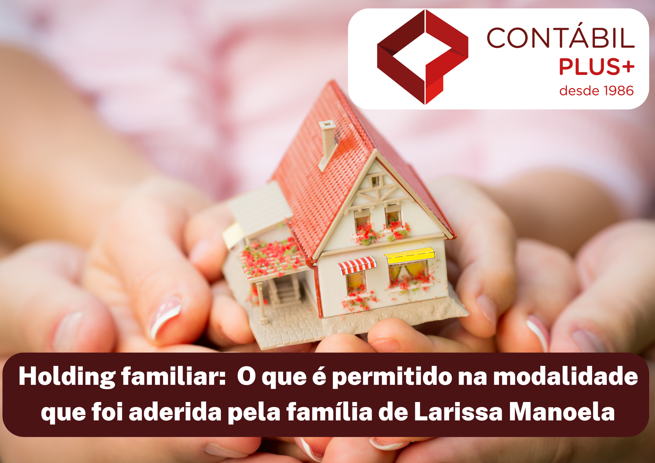 Holding Familiar - Contábil Plus │ Escritório Contábil em Maceió - AL