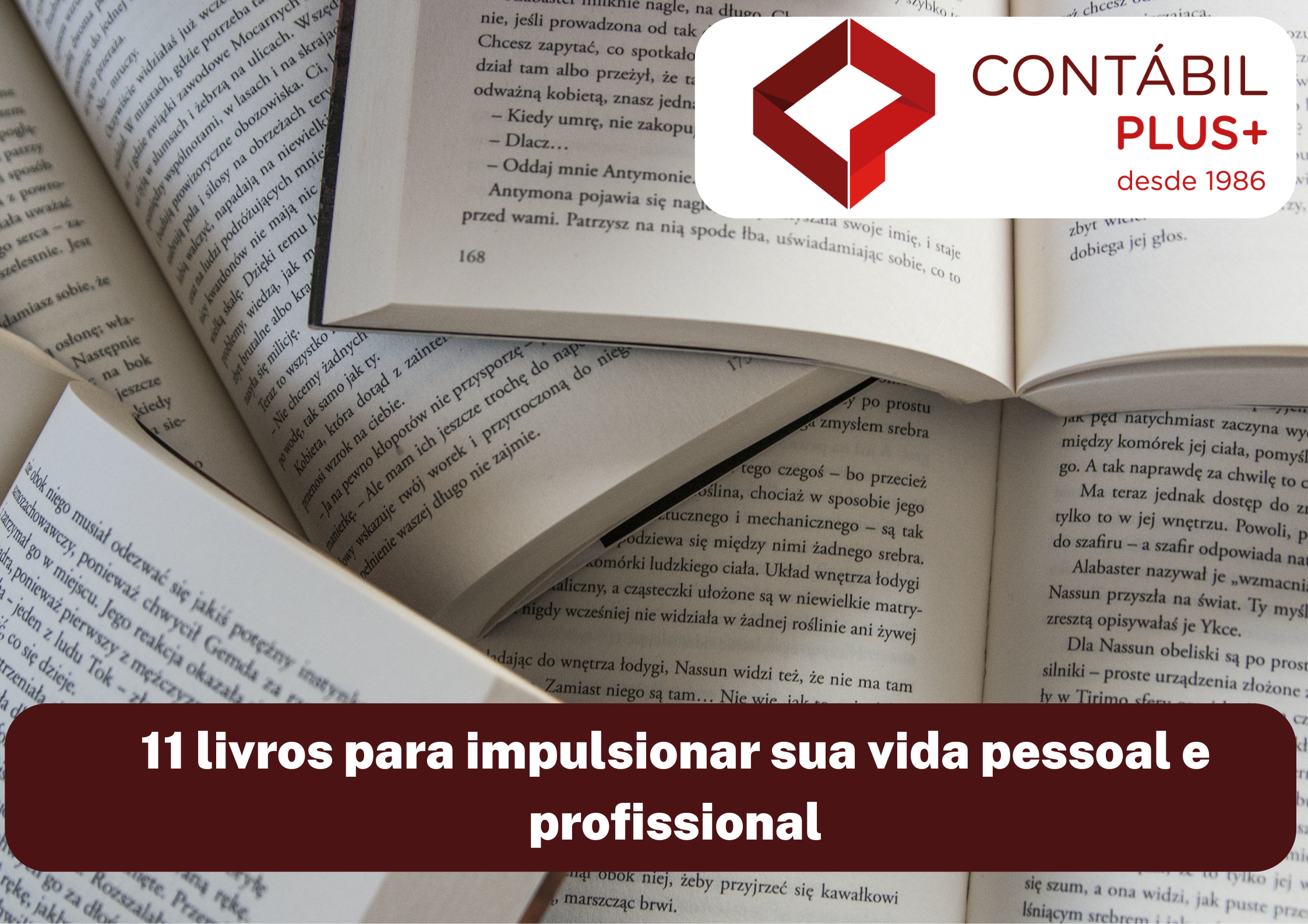 11 Livros Para Impulsionar Sua Vida Pessoal E Profissional - Contábil Plus │ Escritório Contábil em Maceió - AL